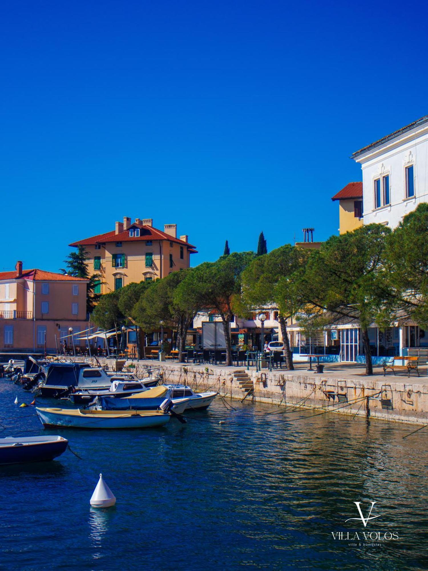 Villa Volos Apartment Karmen With Roof Terrace, Sea View, Free Private Parking Opatija Luaran gambar